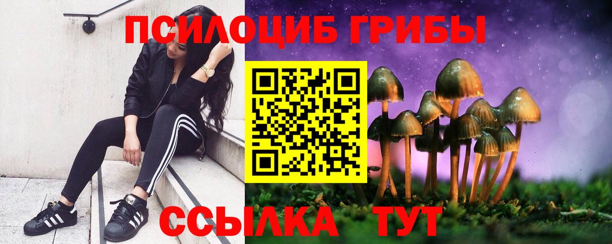 Галлюциногенные грибы Cubensis  Псилоцибиновые грибы Cubensis  Озёры  Вход с VPN 