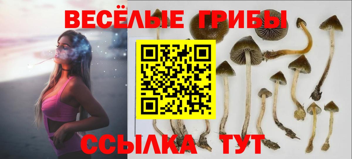 Псилоцибиновые грибы Cubensis Озёры